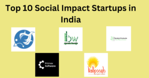 A social impact startup is dedicated to creating positive change by addressing pressing societal and environmental challenges through innovative solutions. These ventures integrate social good into their core business models, leveraging technology, sustainable practices, and community engagement to enhance lives and promote sustainability. By prioritizing impact alongside profitability, social impact startups strive to solve issues such as poverty, inequality, and environmental degradation, fostering a more equitable and sustainable future for all.